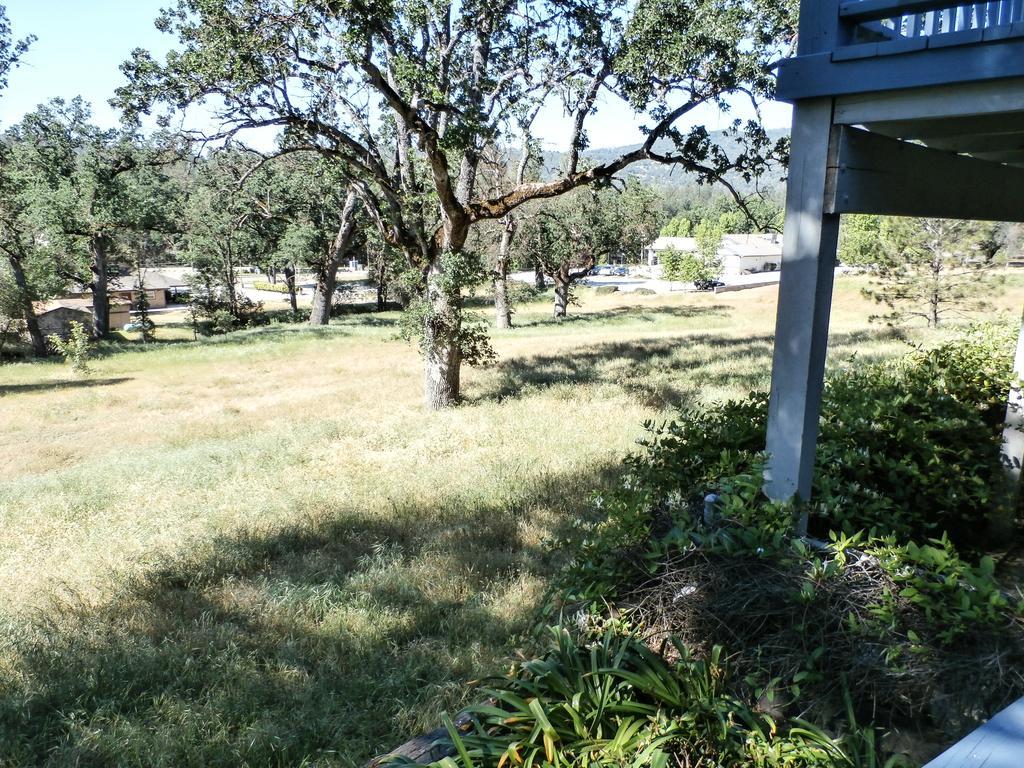 Charming Downstairs Unit Apartment Oakhurst Luaran gambar