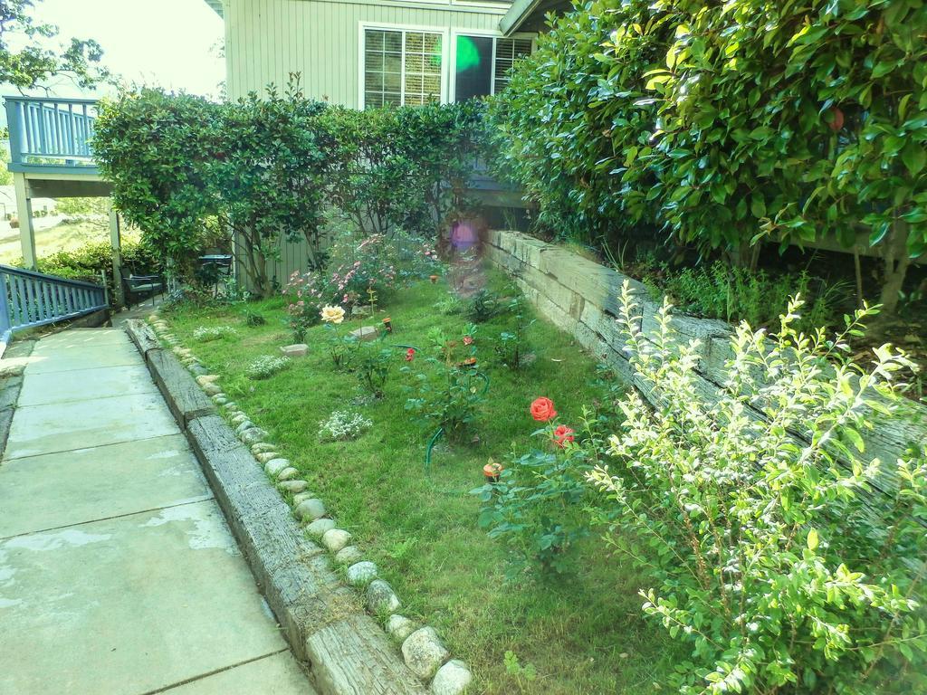 Charming Downstairs Unit Apartment Oakhurst Luaran gambar