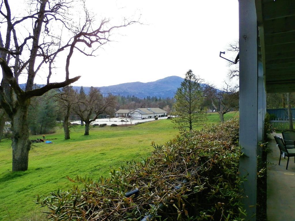 Charming Downstairs Unit Apartment Oakhurst Luaran gambar